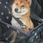 Dog Car Seat Elevated Waterproof Anti-Slip