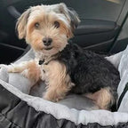 Dog Car Seat Removable Waterproof Cover & Adjustable Straps