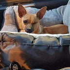 Dog Car Seat Removable Waterproof Cover & Adjustable Straps