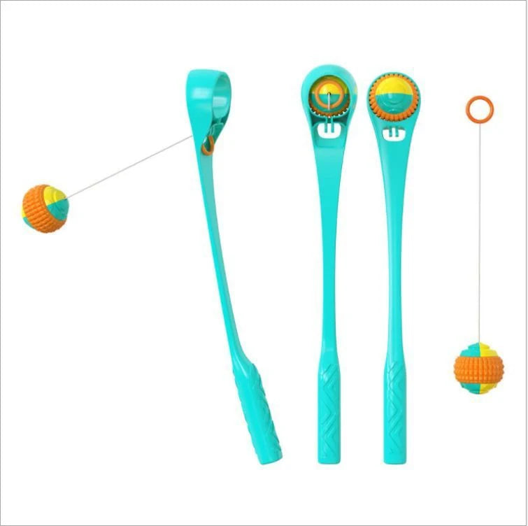 Dog & Cat Ball Toy Interactive Durable Plastic