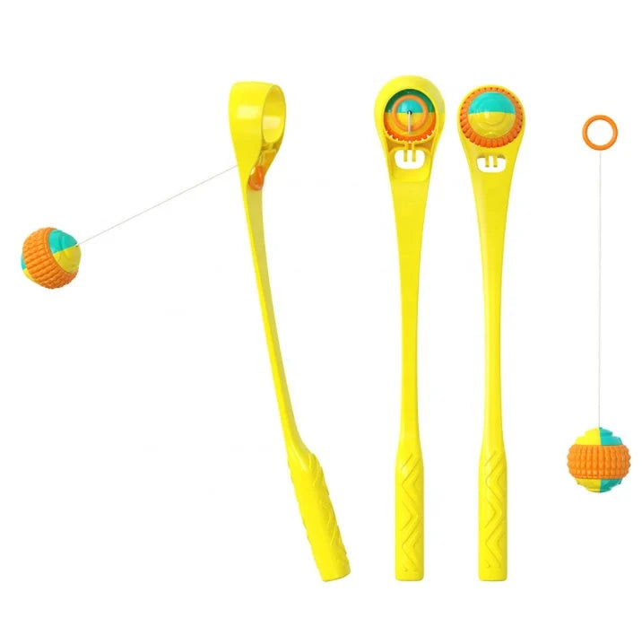 Dog & Cat Ball Toy Interactive Durable Plastic