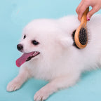 Dog & Cat Comb Double-Sided Stainless Steel