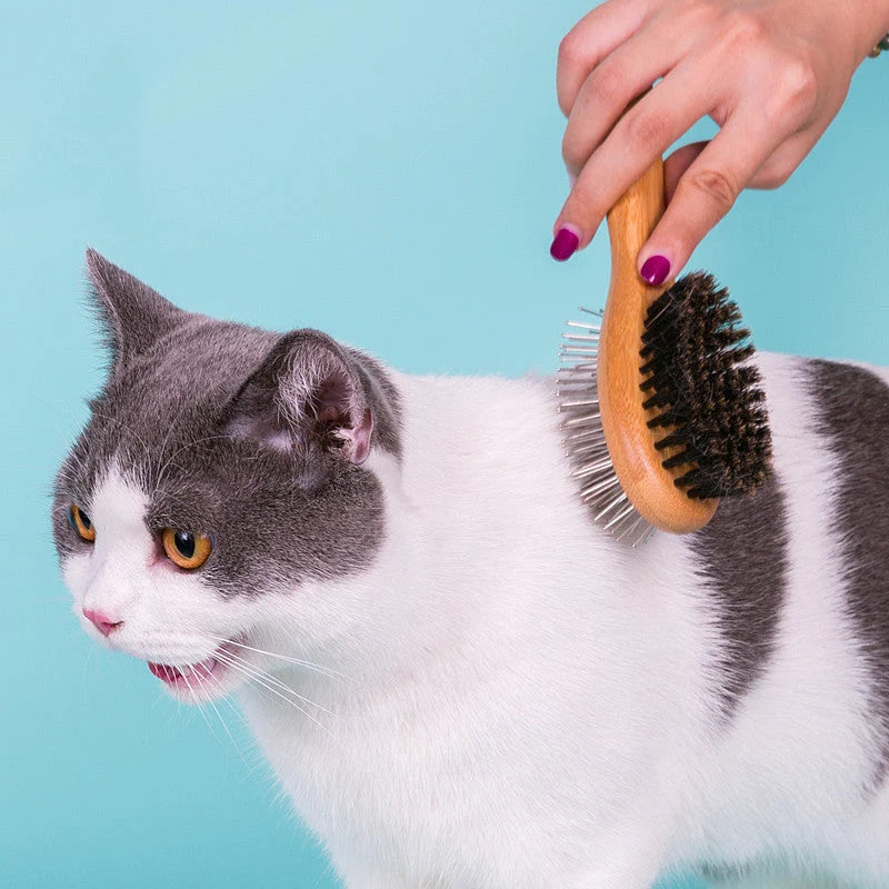 Dog & Cat Comb Double-Sided Stainless Steel