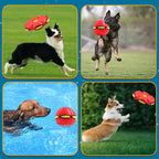 Dog & Cat Toy Auto-Transforming Frisbee-To-Ball Motion-Activated LED