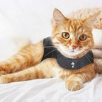 Dog & Cat Vest Lightweight Breathable Quick-Drying Polyester