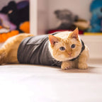 Dog & Cat Vest Lightweight Breathable Quick-Drying Polyester