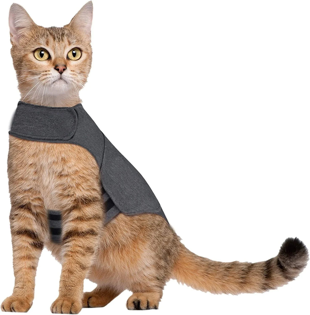 Dog & Cat Vest Lightweight Breathable Quick-Drying Polyester