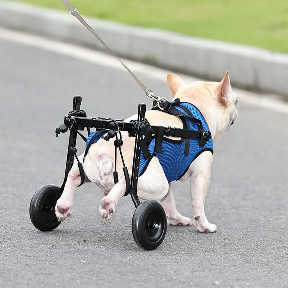 Dog & Cat Wheelchair Adjustable Height & Rear-Leg Support