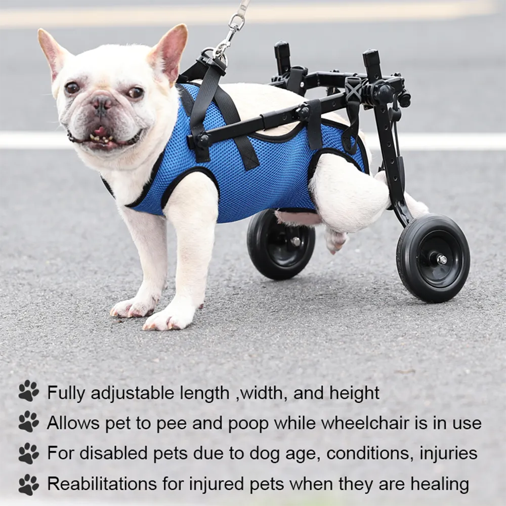 Dog & Cat Wheelchair Adjustable Height & Rear-Leg Support
