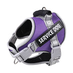 Dog Chest Strap Adjustable Cloth With Matching Traction Rope