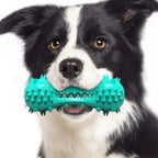Dog Chew Toy Dental-Cleaning Durable Rubber & Squeaker
