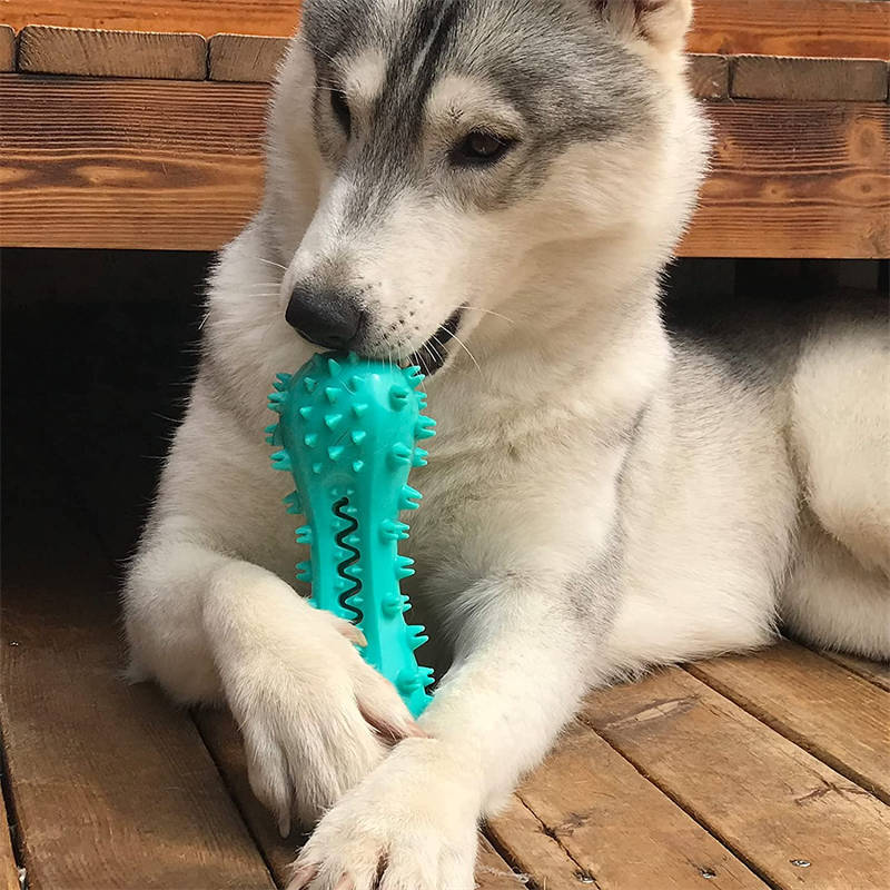 Dog Chew Toy Dental-Cleaning Durable Rubber & Squeaker