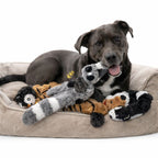 Dog Chew Toy Durable Fleece Mess-Free Squeaker & Crinkle