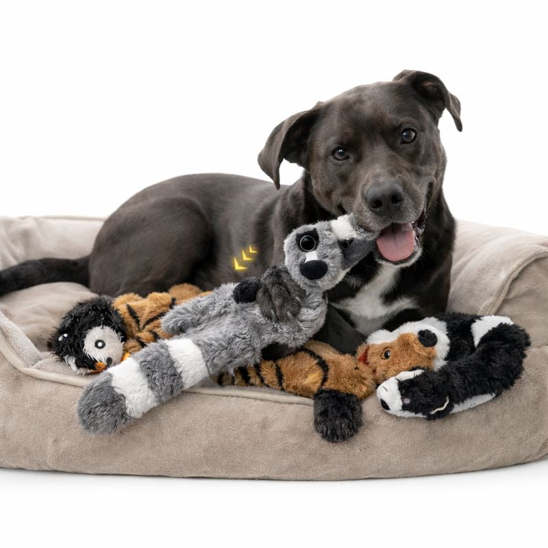 Dog Chew Toy Durable Fleece Mess-Free Squeaker & Crinkle