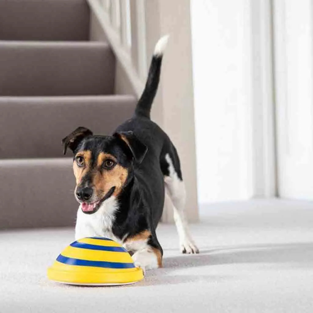 Dog Chew Toy Interactive Sound Silicone Non-Toxic