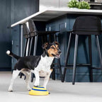 Dog Chew Toy Interactive Sound Silicone Non-Toxic