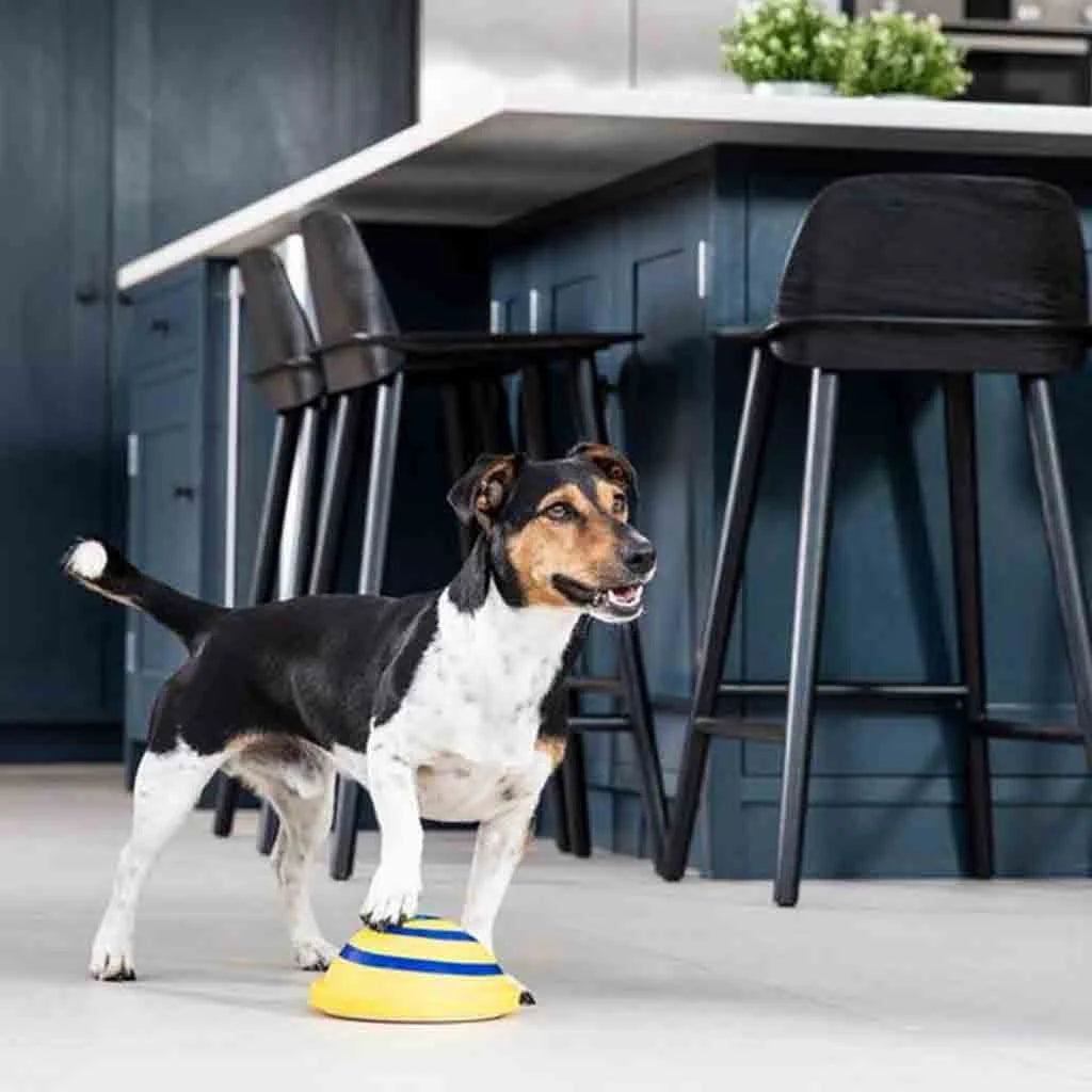 Dog Chew Toy Interactive Sound Silicone Non-Toxic