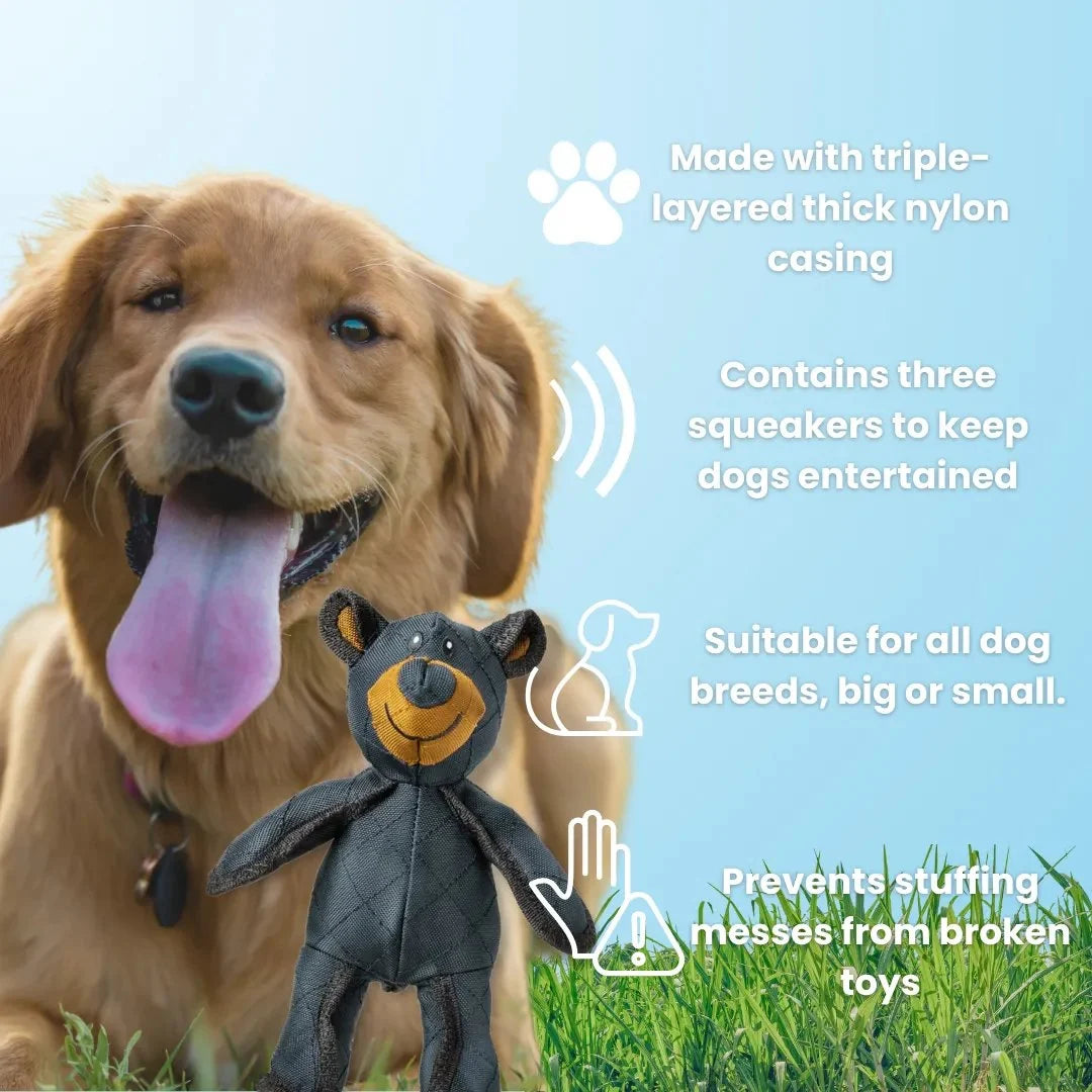 Dog Chew Toy Reinforced Core & Textured Dental Surface