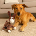 Dog Chew Toy Rope-Textured Velvet Plush Built-In Squeaker