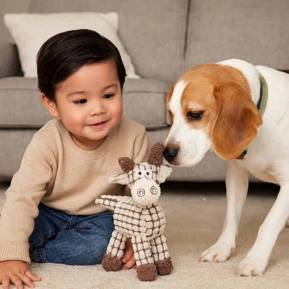 Dog Chew Toy Rope-Textured Velvet Plush Built-In Squeaker