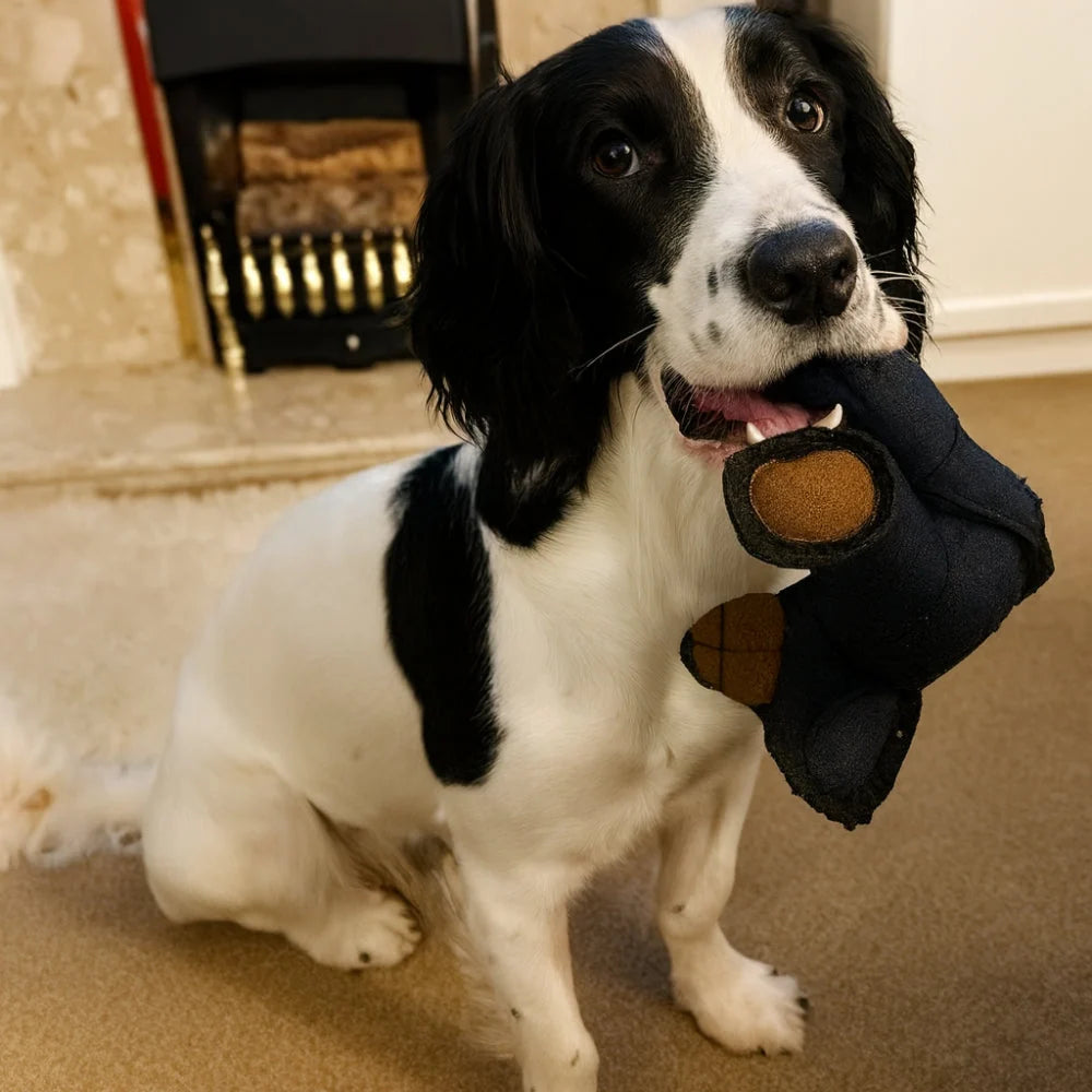 Dog Chew Toy Triple-Layer Chew-Resistant Lightweight