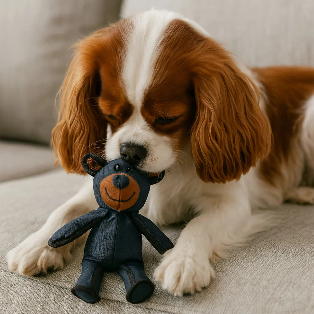 Dog Chew Toy Triple-Layer Chew-Resistant Lightweight