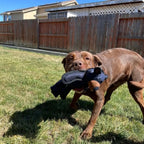 Dog Chew Toy Triple-Layer Chew-Resistant Lightweight