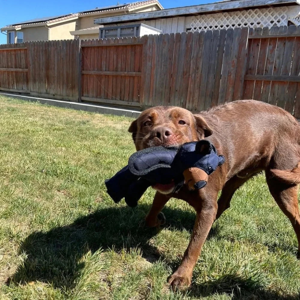 Dog Chew Toy Triple-Layer Chew-Resistant Lightweight