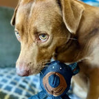 Dog Chew Toy Triple-Layer Chew-Resistant Lightweight