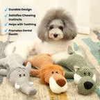 Dog Chew Toy Ultra-Durable Textured Teeth Cleaning