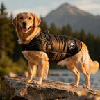 Dog Coat Insulated Water-Repellent Built-In Harness & Reflective Trim