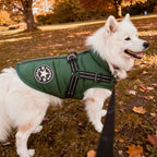 Dog Coat Insulated Water-Repellent Built-In Harness & Reflective Trim