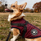 Dog Coat Insulated Water-Repellent Built-In Harness & Reflective Trim