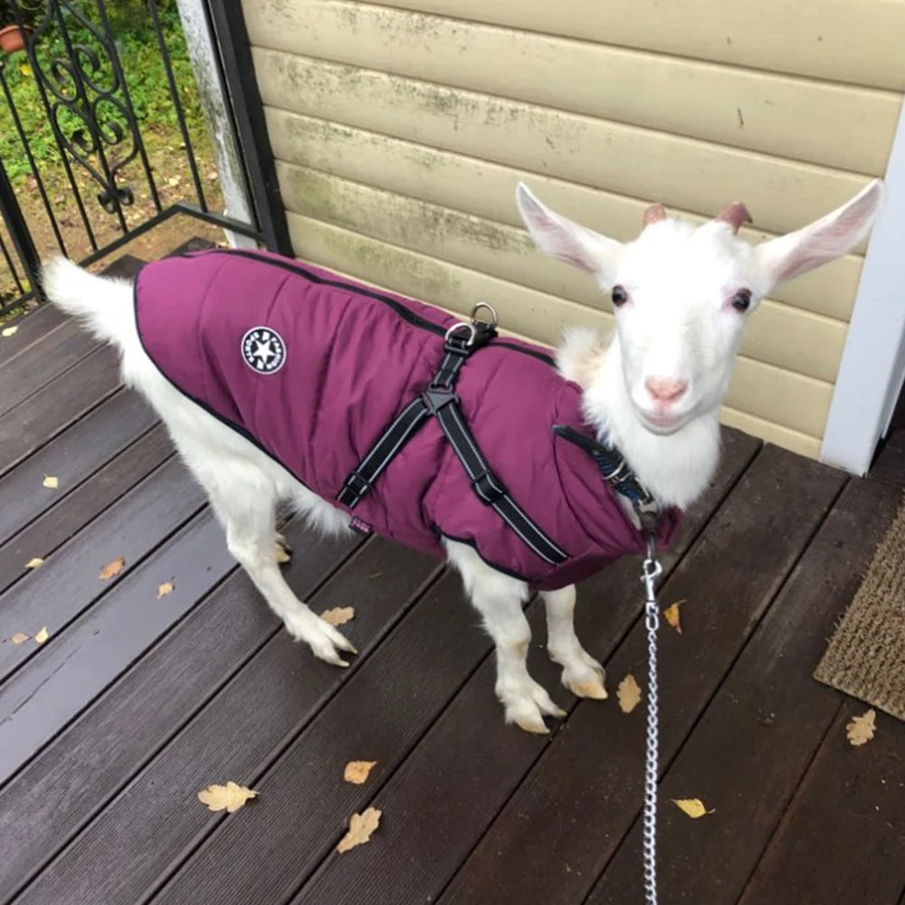Dog Coat Integrated Harness Waterproof & Fleece-Lined Reflective Straps