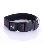 Dog Collar Denim & Leather Metal Buckle Bone Charm
