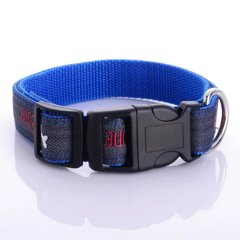 Dog Collar Denim & Leather Metal Buckle Bone Charm
