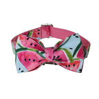 Dog Collar & Leash Set Adjustable Washable Eco-Friendly