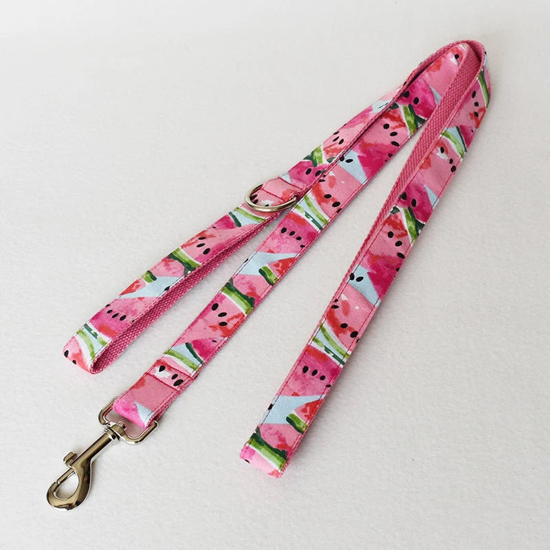Dog Collar & Leash Set Adjustable Washable Eco-Friendly