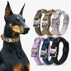 Dog Collar Padded Nylon Adjustable with Control Handle