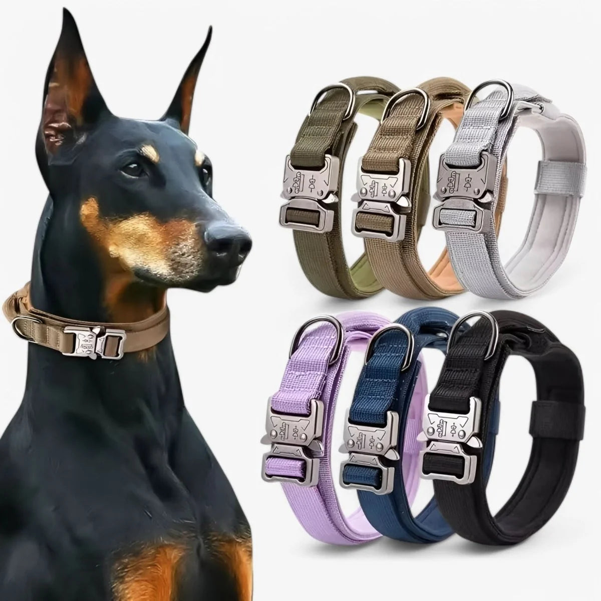 Dog Collar Padded Nylon Adjustable with Control Handle