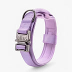 Dog Collar Padded Nylon Adjustable with Control Handle