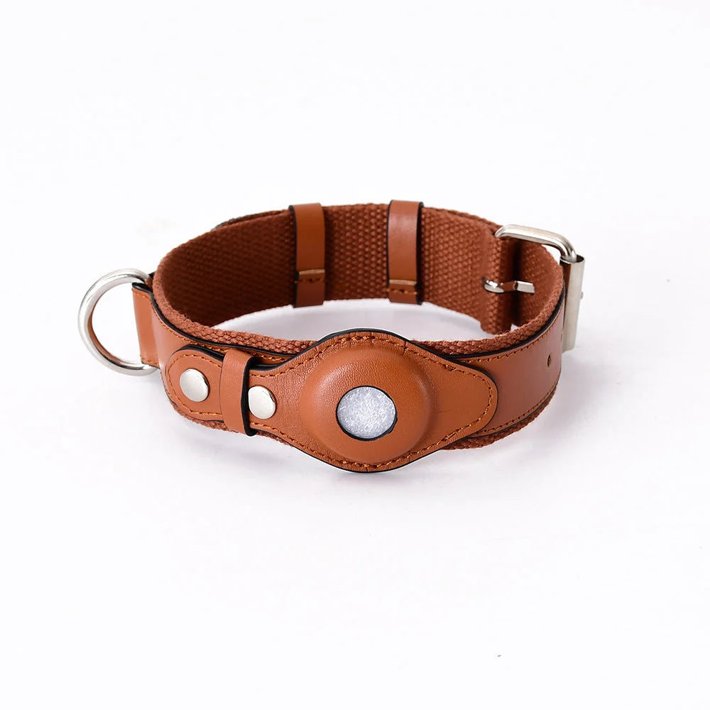 Dog Collar Real-Time GPS Worldwide No Subscription