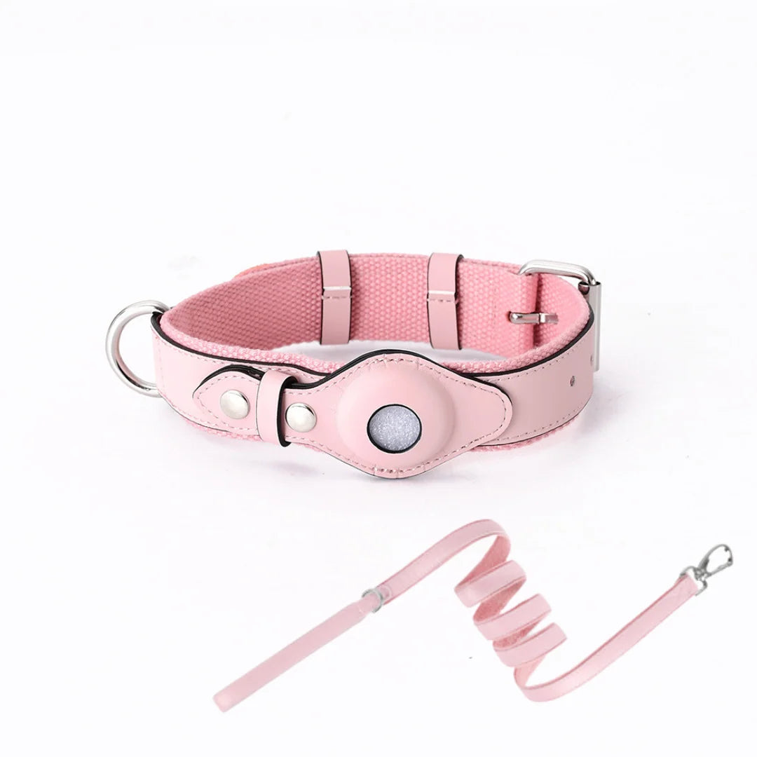 Dog Collar Real-Time GPS Worldwide No Subscription