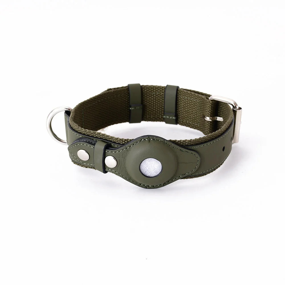 Dog Collar Real-Time GPS Worldwide No Subscription