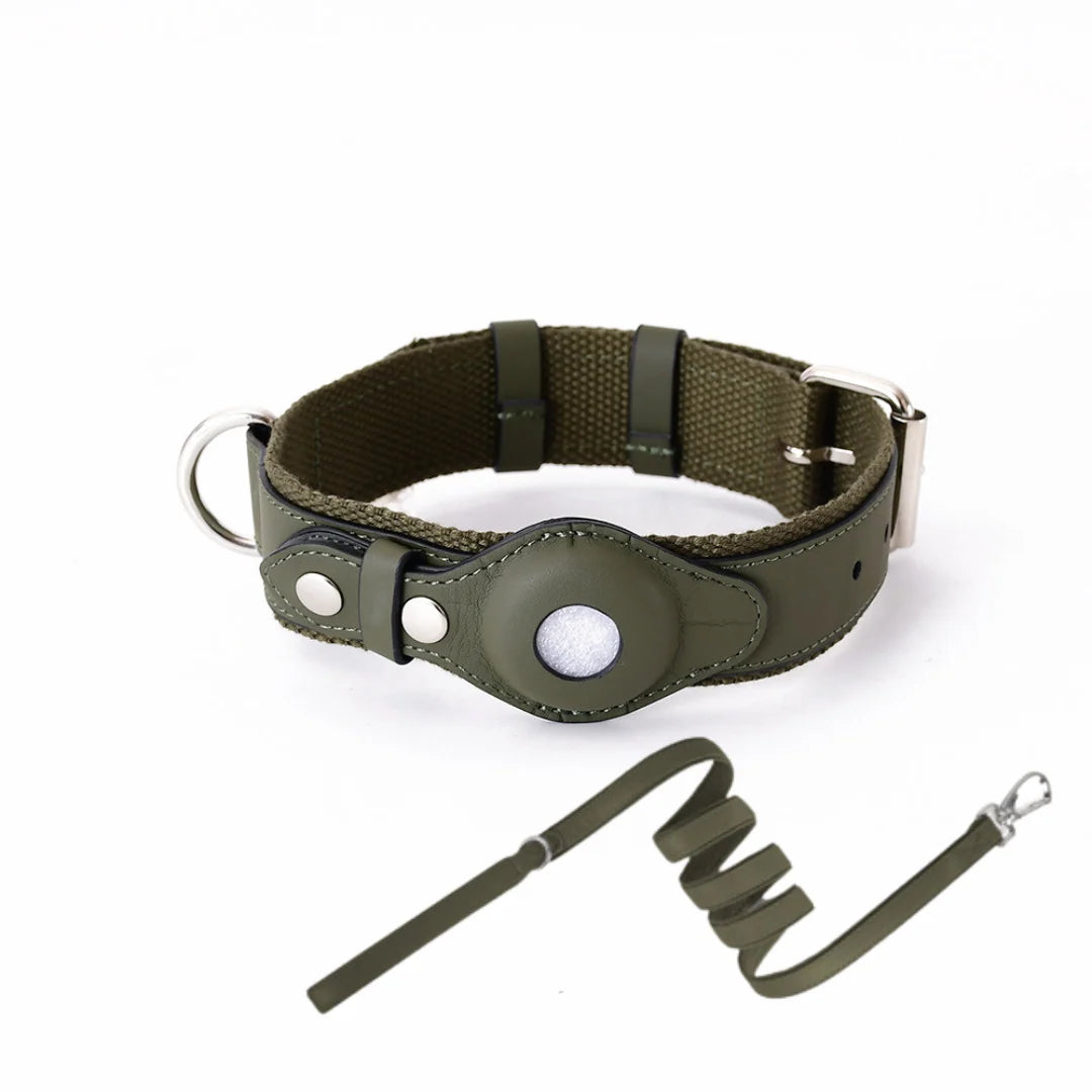 Dog Collar Real-Time GPS Worldwide No Subscription
