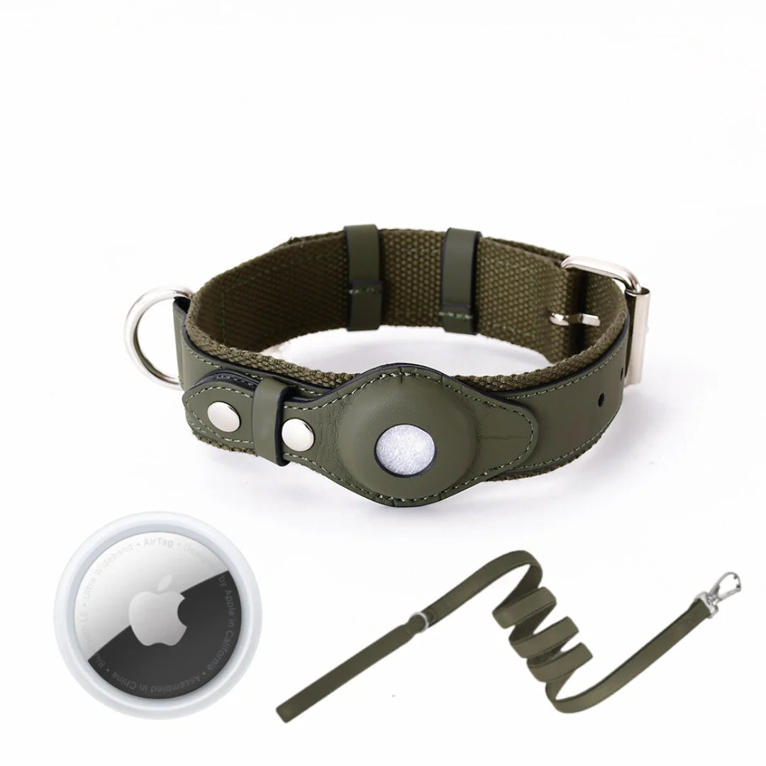 Dog Collar Real-Time GPS Worldwide No Subscription
