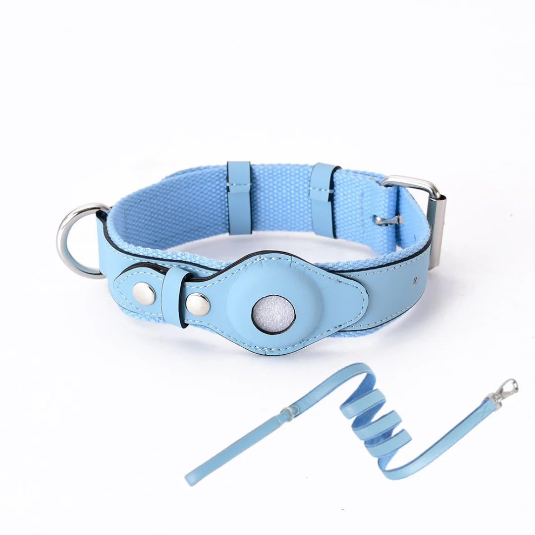 Dog Collar Real-Time GPS Worldwide No Subscription