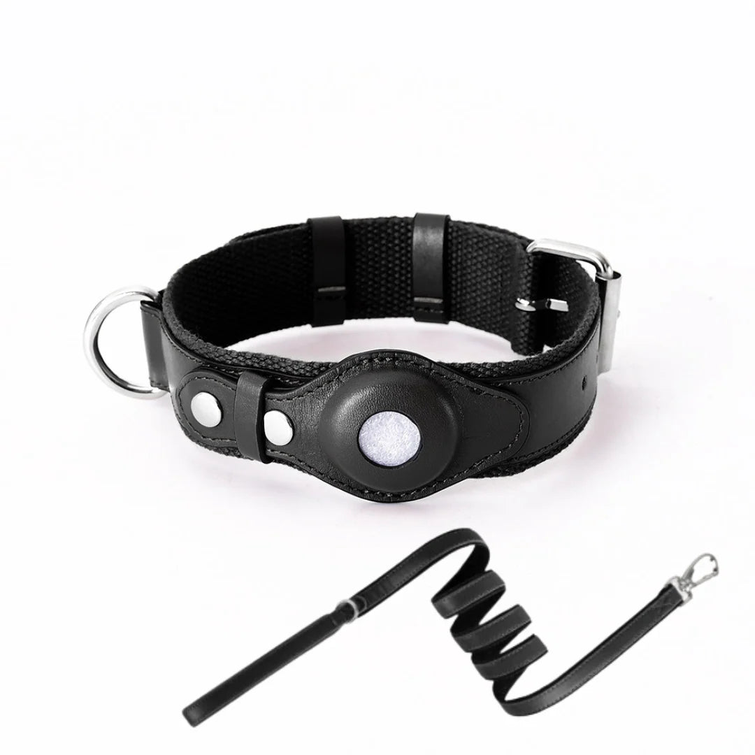 Dog Collar Real-Time GPS Worldwide No Subscription