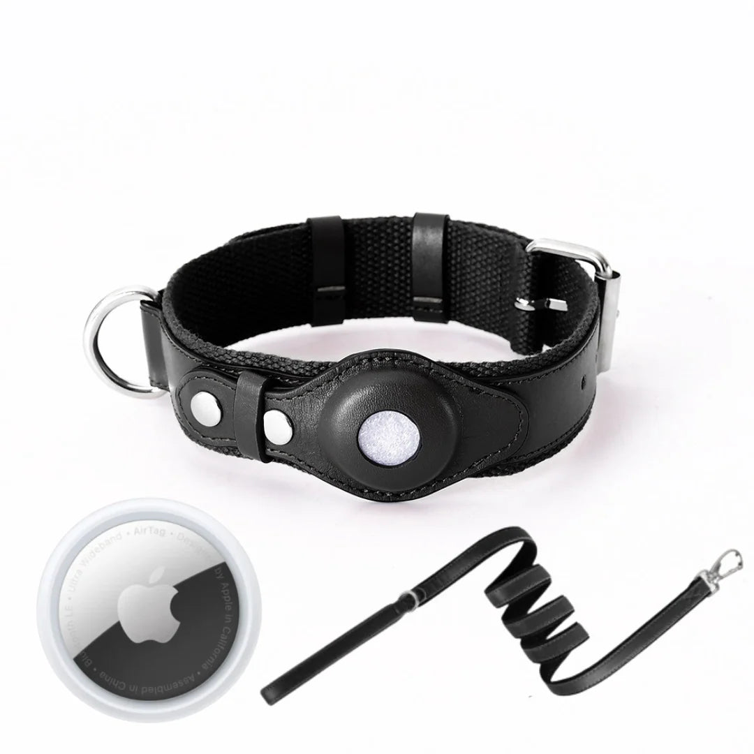 Dog Collar Real-Time GPS Worldwide No Subscription