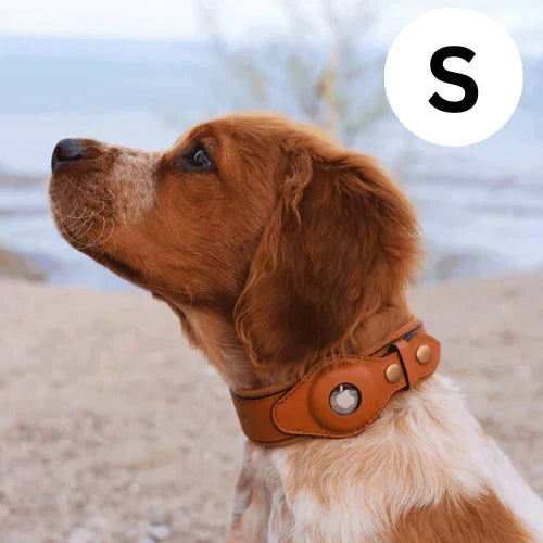Dog Collar Real-Time GPS Worldwide No Subscription